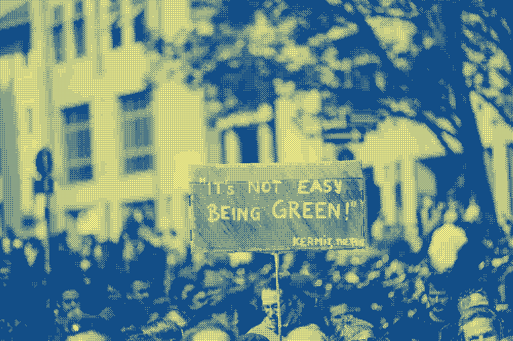 Une photo de manifestation. Une pancarte indique "it's not easy beeing green !"